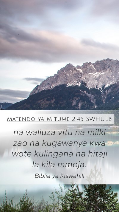 Matendo ya Mitume 2:45 SWHULB Mobile Phone Wallpaper - na waliuza vitu na milki zao na kugawanya kwa - Mobile Bible Verse Wallpaper