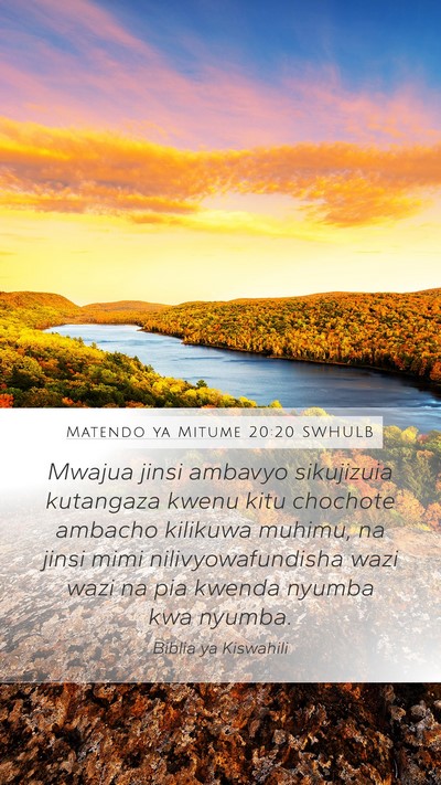 Matendo ya Mitume 20:20 SWHULB Bible Verse Image