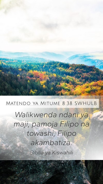 Matendo ya Mitume 8:38 SWHULB Mobile Phone Wallpaper - Walikwenda ndani ya maji, pamoja Filipo na - Mobile Bible Verse Wallpaper