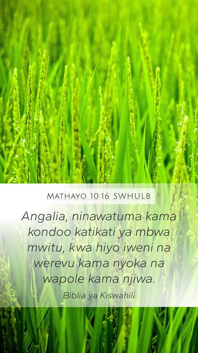 Mathayo 10:16 SWHULB Bible Verse Image