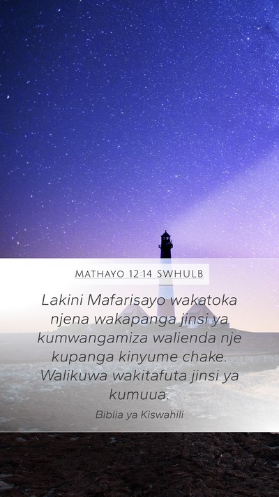 Mathayo 12:14 SWHULB Bible Verse Image