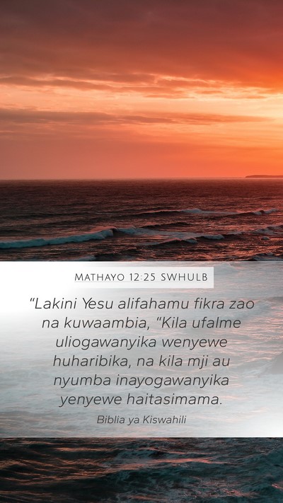 Mathayo 12:25 SWHULB Bible Verse Image