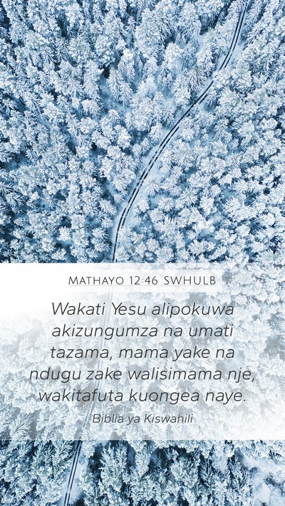 Mathayo 12:46 SWHULB Bible Verse Image