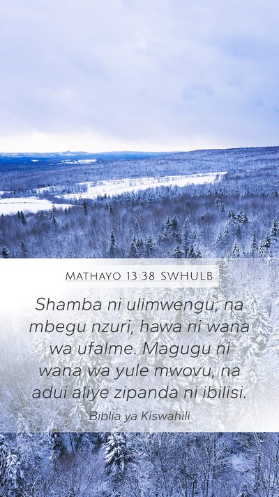 Mathayo 13:38 SWHULB Bible Verse Image