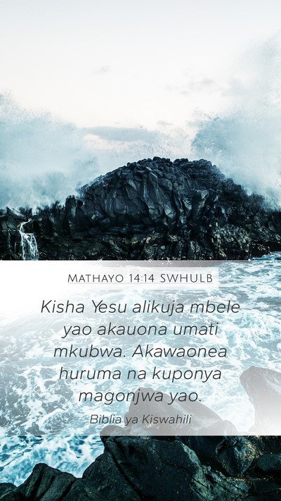 Mathayo 14:14 SWHULB Bible Verse Image