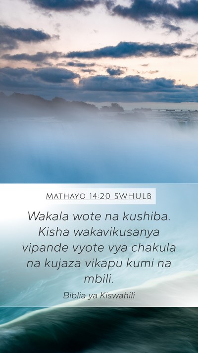 Mathayo 14:20 SWHULB Bible Verse Image