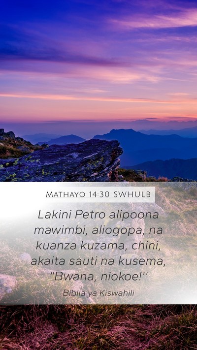 Mathayo 14:30 SWHULB Bible Verse Image