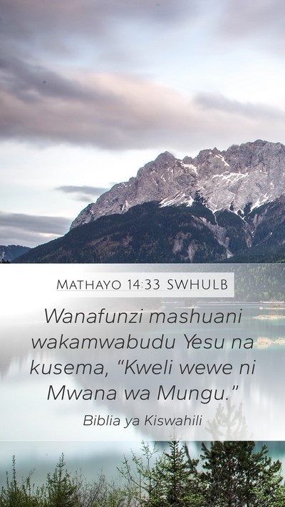 Mathayo 14:33 SWHULB Bible Verse Image