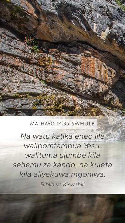 Mathayo 14:35 SWHULB Bible Verse Image