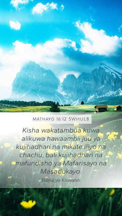 Mathayo 16:12 SWHULB Bible Verse Image