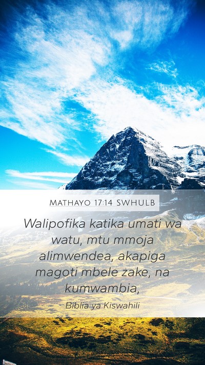 Mathayo 17:14 SWHULB Bible Verse Image