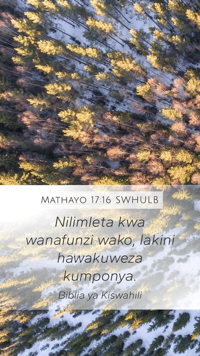 Mathayo 17:16 SWHULB Mobile Phone Wallpaper - Nilimleta kwa wanafunzi wako, lakini hawakuweza - Mobile Bible Verse Wallpaper