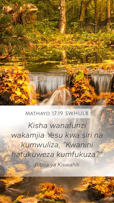 Mathayo 17:19 SWHULB Bible Verse Image