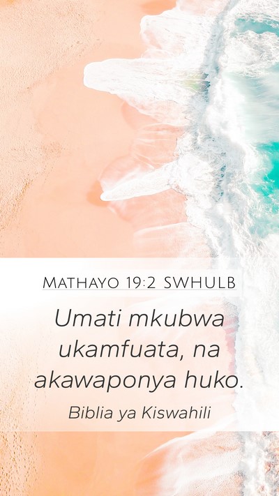 Mathayo 19:2 SWHULB Bible Verse Image