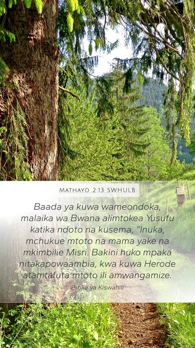 Mathayo 2:13 SWHULB Bible Verse Image
