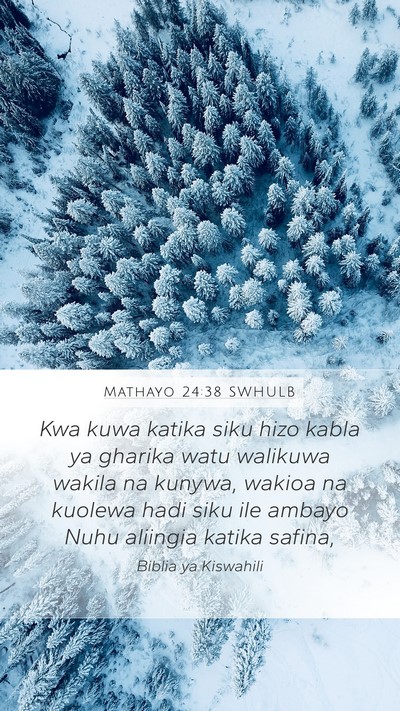 Mathayo 24:38 SWHULB Bible Verse Image