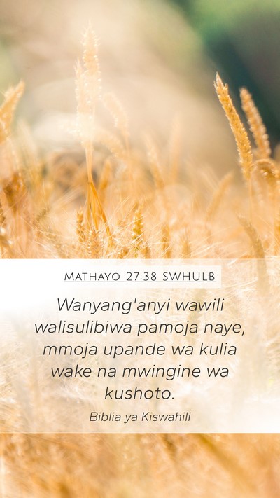 Mathayo 27:38 SWHULB Bible Verse Image