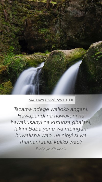 Mathayo 6:26 SWHULB Bible Verse Image