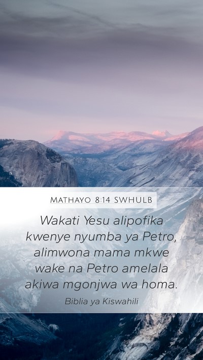 Mathayo 8:14 SWHULB Bible Verse Image