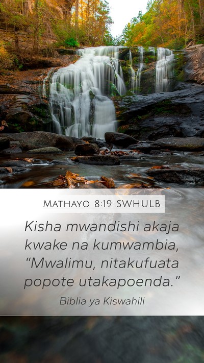 Mathayo 8:19 SWHULB Bible Verse Image