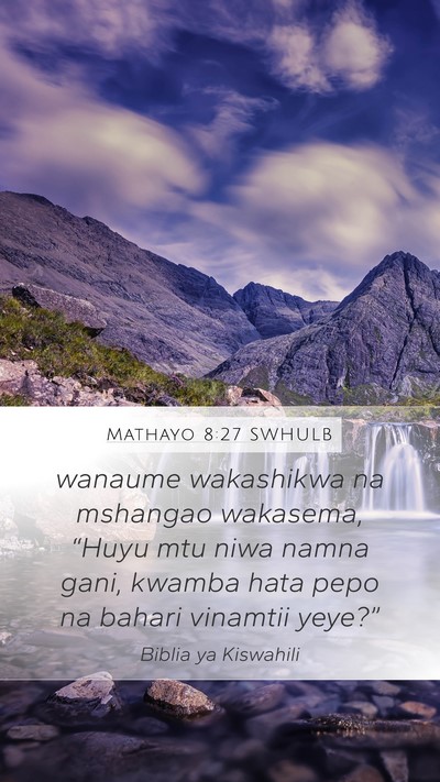 Mathayo 8:27 SWHULB Bible Verse Image