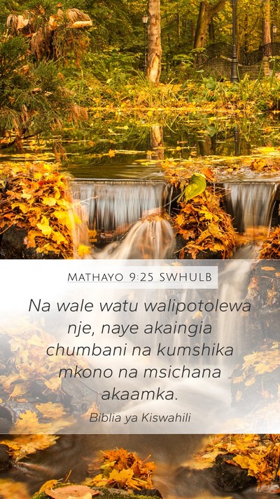 Mathayo 9:25 SWHULB Bible Verse Image