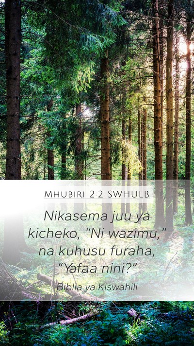 Mhubiri 2:2 SWHULB Bible Verse Image