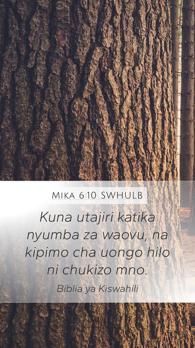 Mika 6:10 SWHULB Bible Verse Image