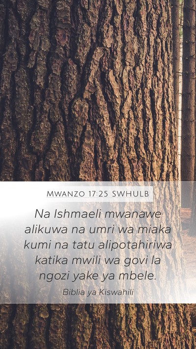 Mwanzo 17:25 SWHULB Mobile Phone Wallpaper - Na Ishmaeli mwanawe alikuwa na umri wa miaka kumi - Mobile Bible Verse Wallpaper