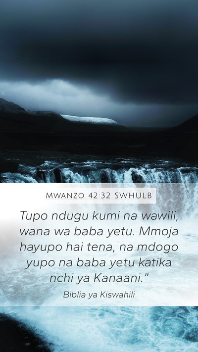 Mwanzo 42:32 SWHULB Bible Verse Image