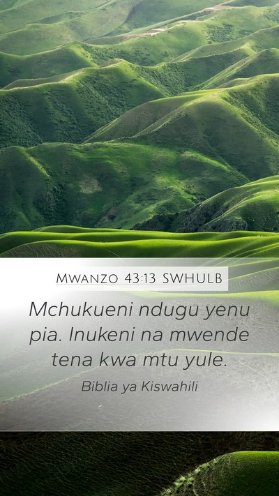 Mwanzo 43:13 SWHULB Mobile Phone Wallpaper - Mchukueni ndugu yenu pia. Inukeni na mwende tena - Mobile Bible Verse Wallpaper