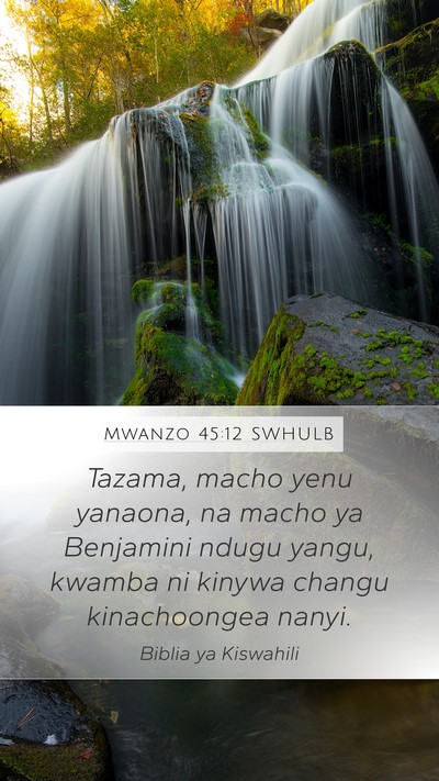 Mwanzo 45:12 SWHULB Mobile Phone Wallpaper - Tazama, macho yenu yanaona, na macho ya Benjamini - Mobile Bible Verse Wallpaper