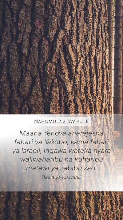 Nahumu 2:2 SWHULB Bible Verse Image