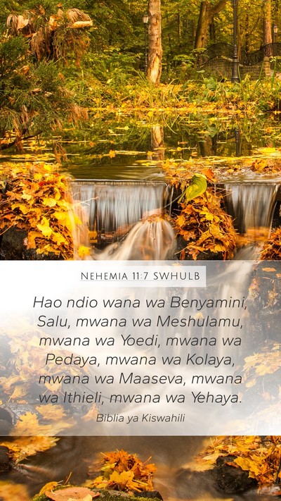 Nehemia 11:7 SWHULB Bible Verse Image