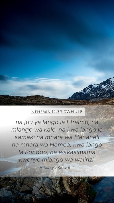 Nehemia 12:39 SWHULB Bible Verse Image