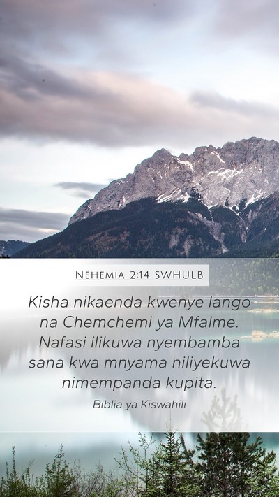 Nehemia 2:14 SWHULB Bible Verse Image