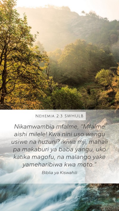 Nehemia 2:3 SWHULB Bible Verse Image