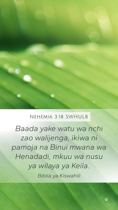 Nehemia 3:18 SWHULB Bible Verse Image