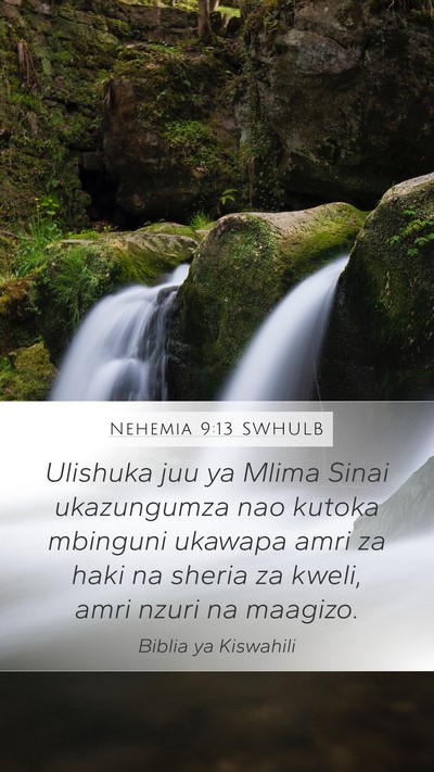 Nehemia 9:13 SWHULB Bible Verse Image