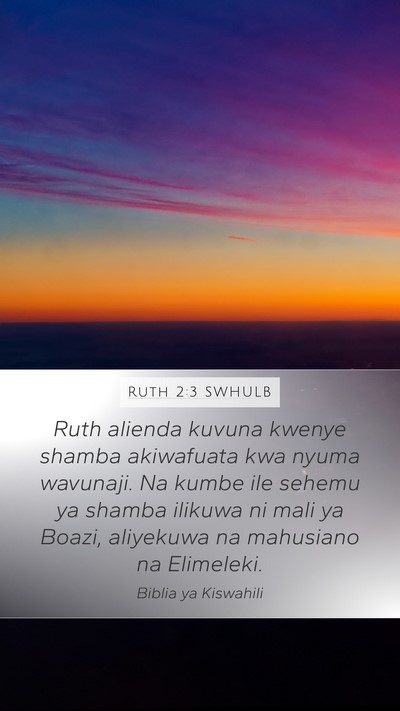Ruth 2:3 SWHULB Bible Verse Image
