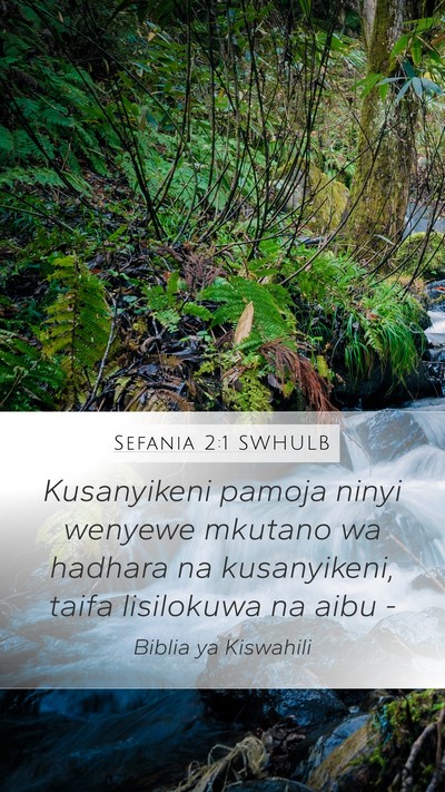 Sefania 2:1 SWHULB Bible Verse Image