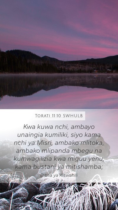 Torati 11:10 SWHULB Bible Verse Image