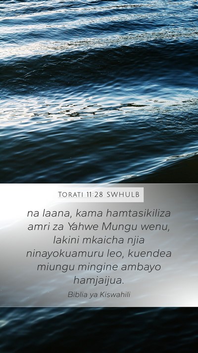 Torati 11:28 SWHULB Bible Verse Image