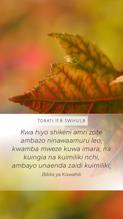 Torati 11:8 SWHULB Bible Verse Image