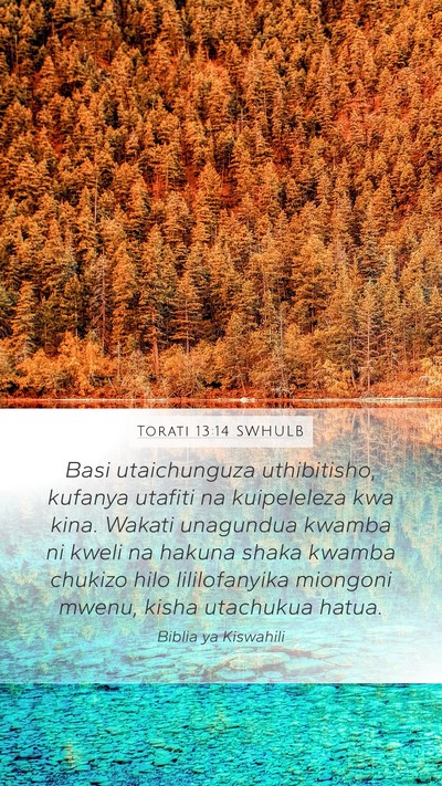 Torati 13:14 SWHULB Bible Verse Image