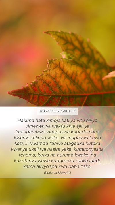 Torati 13:17 SWHULB Bible Verse Image