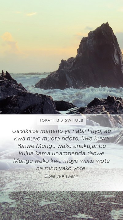 Torati 13:3 SWHULB Bible Verse Image