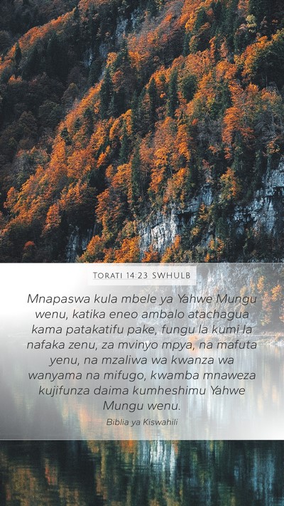 Torati 14:23 SWHULB Bible Verse Image
