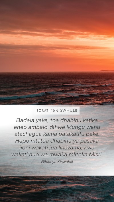 Torati 16:6 SWHULB Bible Verse Image