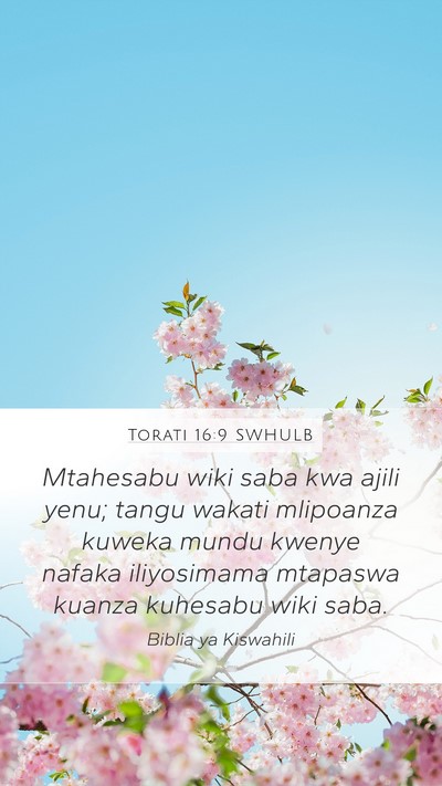 Torati 16:9 SWHULB Bible Verse Image
